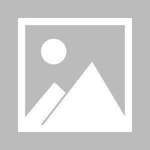 2026全国青少年棒球公开赛（南京站）成功举办|体育比赛|赛事|江苏省|康胜|医疗